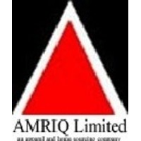 Amriq Limited logo - Similar company to Kolachi Toastmasters