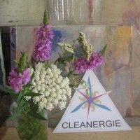 CLEANERGIE logo - Similar company to Cleanenergy.Ca