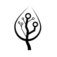 Wellspring Tech Services