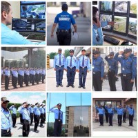 crown security services ( Pvt) ltd. logo - Similar company to Crown Security Services