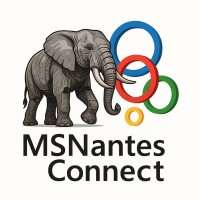 MS Nantes Connect logo - Similar company to Odm World