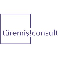 türemiş!consult logo - Similar company to Rockcorps