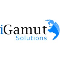 iGamut Solutions logo - Similar company to Instill Learning
