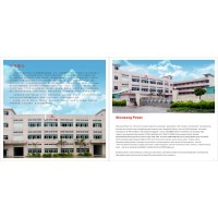 SHENSONG POWER(HONGKONG) CO.,LTD. logo - Similar company to Forguard Smart Technology Limited