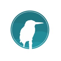 Kingfisher Remote Jobs logo - Similar company to Talentifi - Remote And Onsite Jobs