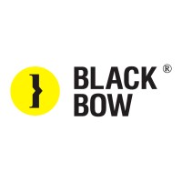 Blackbow Creative Design Institution Co., Ltd. logo - Similar company to Durant Experiential