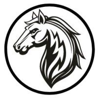 Stallion System logo - Similar company to Uda Concept