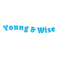 Young & Wise logo - Similar company to Youngwise Bv