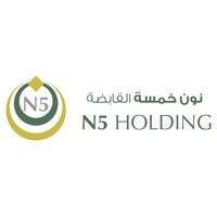N5 Holding logo - Similar company to Executive Director