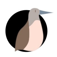 Webooby logo - Similar company to Digital Cart Global