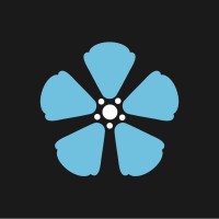 Tiki Motors logo - Similar company to Cv Motion Technology