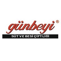 Günbeyi Group logo - Similar company to Talia Collins