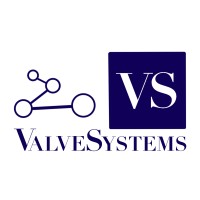 Valvesystems Inc
