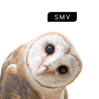 SMV Sitz- & Objektmöbel GmbH logo - Similar company to Mlp Se