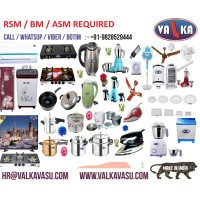 VALKA APPLIANCES logo - Similar company to Heppipe Ghana