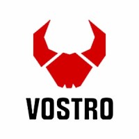 VOSTRO (Cefiro India Pvt Ltd.) logo - Similar company to Alt. Vapors