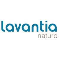 LAVANTIA logo - Similar company to Coreysa