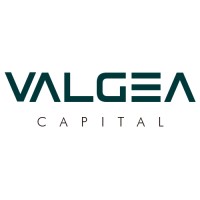 Valgea Capital logo - Similar company to Corus Ortholab