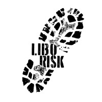 LiboRisk logo - Similar company to Digital Ridge Technologies