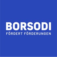 BORSODI – Förderexperte logo - Similar company to Andys.Cc - The Coworking Company