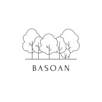 Basoan logo - Similar company to Bmasi