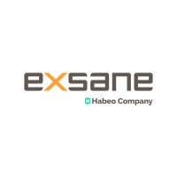 Exsane logo - Similar company to Comse Oy