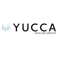 Yucca Scalian Group (Yucca IT Solutions) logo - Similar company to Neviton Softech Pvt Ltd.