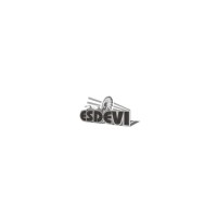 Esdevi logo - Similar company to Henshinkido