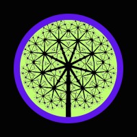 NonLinear Academy logo - Similar company to Intekglobal