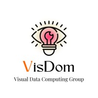 Visual Data Computing Group (VisDom) logo - Similar company to Made For Solution