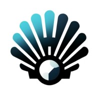 CodeShell logo - Similar company to Rozwill