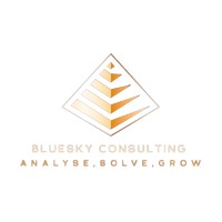 Bluesky Consulting CI logo - Similar company to Blusky Consulting, Llc