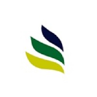 AF News Agrícola logo - Similar company to Trigopan Commodities Agrícolas