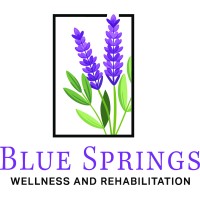 Blue Springs Wellness & Rehabilitation logo - Similar company to Haven Oaks Healthcare