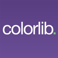 Colorlib logo - Similar company to Digital Hole