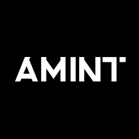 AMINT logo - Similar company to Vector Connect