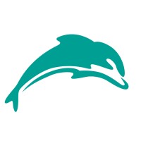 Dolphin Creative logo - Similar company to Dolphin