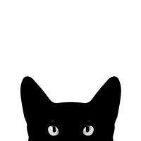 Studio Kat