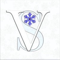 Visually Speaking LLC