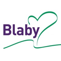 Blaby District Council logo - Similar company to Pro-Ex Development Ltd