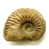 CORDATUM ASSOCIATES LIMITED logo - Similar company to Lord Data