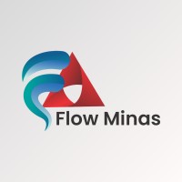 Flow Minas logo - Similar company to Wetask