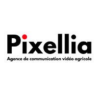 Pixellia logo - Similar company to Pixelia