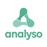 analyso logo - Similar company to Mashay