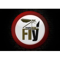 Dragon Flye logo - Similar company to Intelicom