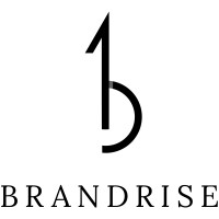 Brandrise logo - Similar company to Ecomhd