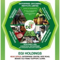 EGI HOLDINGS logo - Similar company to Itekku B2B