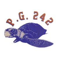 Project Group 242 Inc. logo - Similar company to Executive Service Corps- Florida