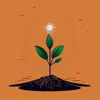 CeliF Farms logo - Similar company to Edoak Farms
