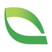 Limetree logo - Similar company to Decile